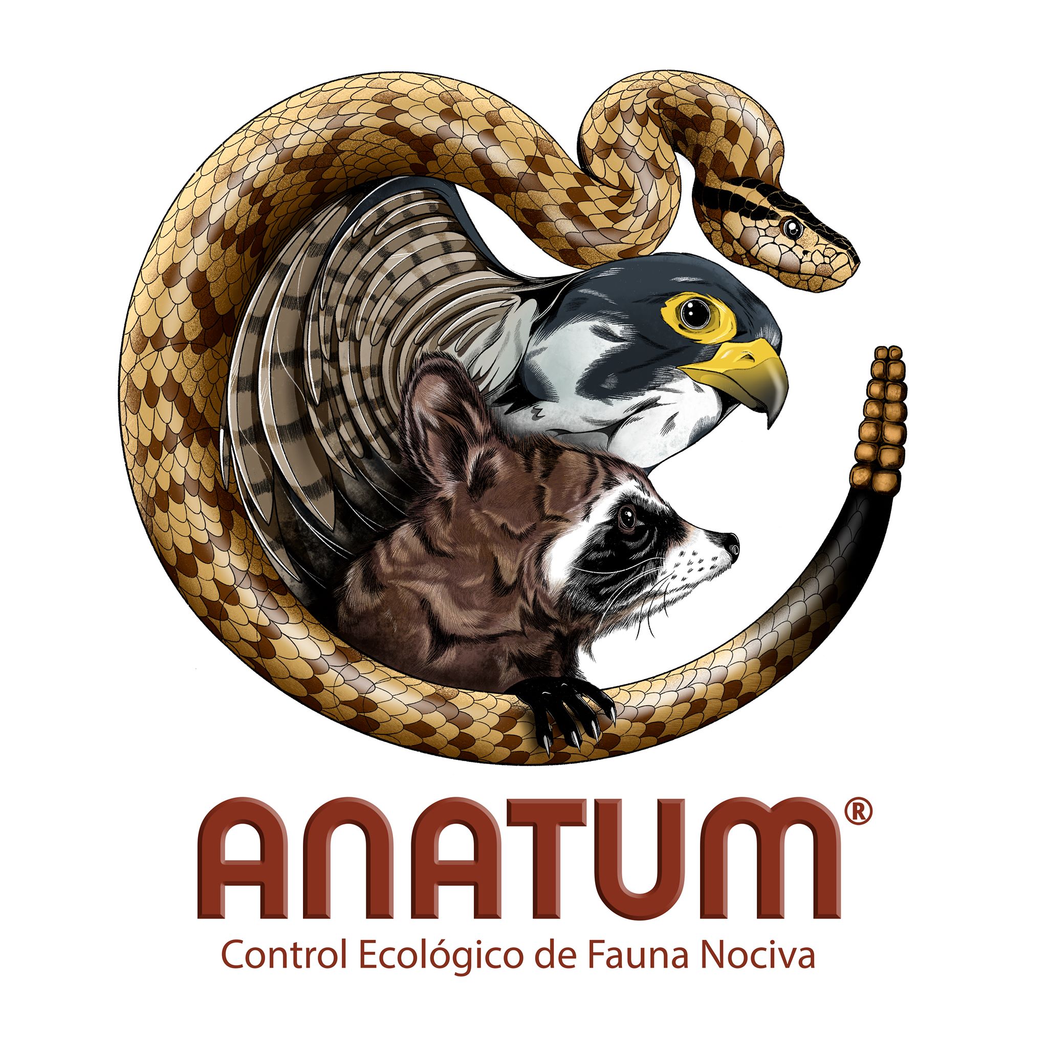 Logo Control ANATUM